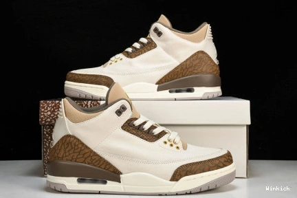 Jordan Air 3 CT8532-102 "Palomino" 1019